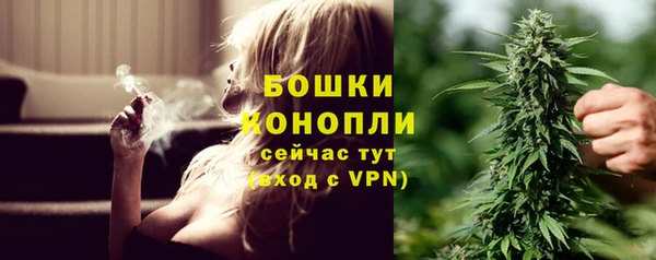 шишки Краснослободск