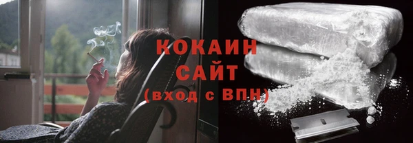 шишки Краснослободск