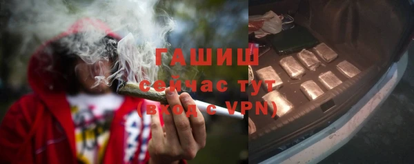 гидра Корсаков