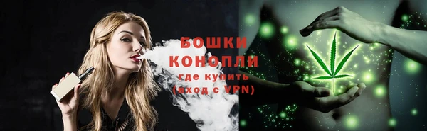 шишки Краснослободск