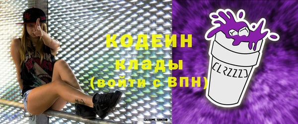 шишки Краснослободск