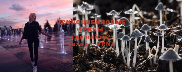 шишки Краснослободск