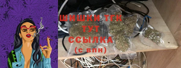шишки Краснослободск
